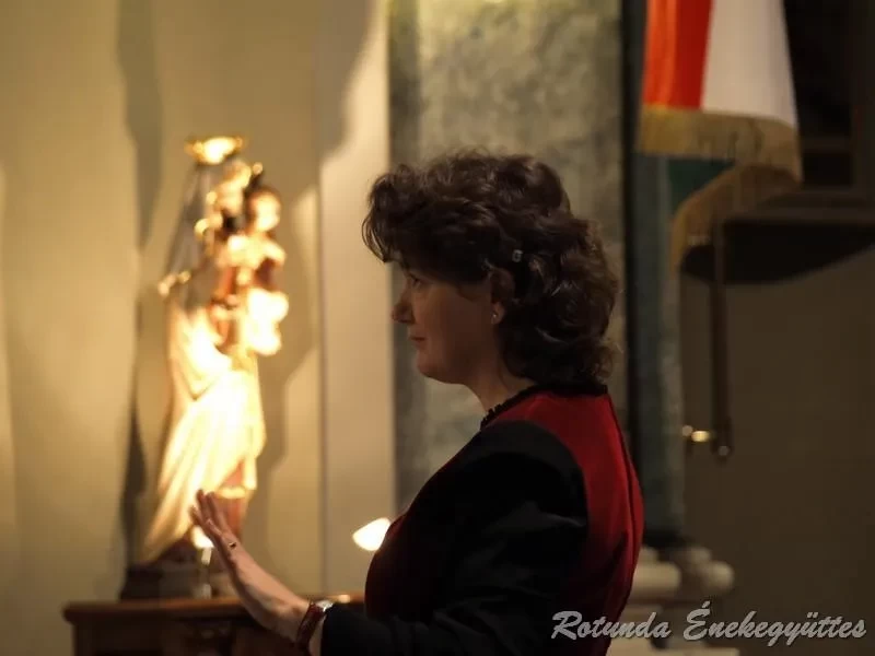 2009 11 39